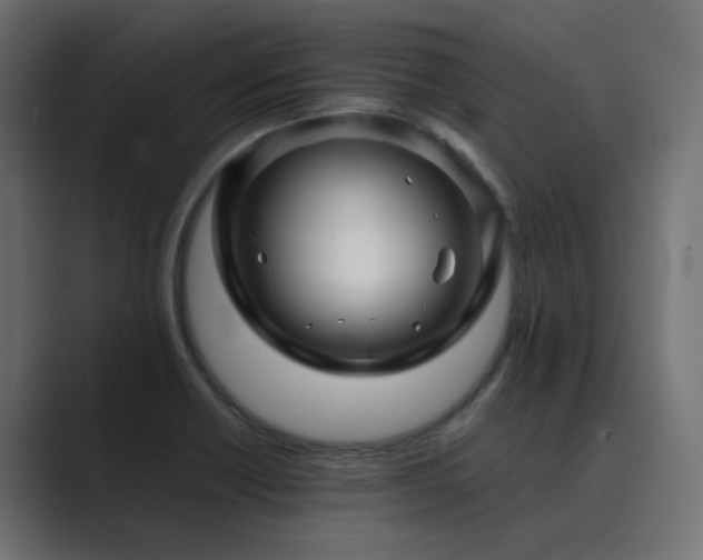 X0000089951418200706291203