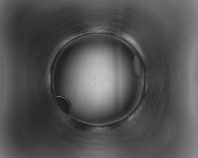X0000089951419200706291203