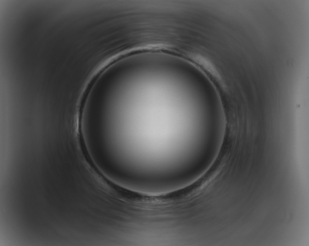 X0000089951420200706291203