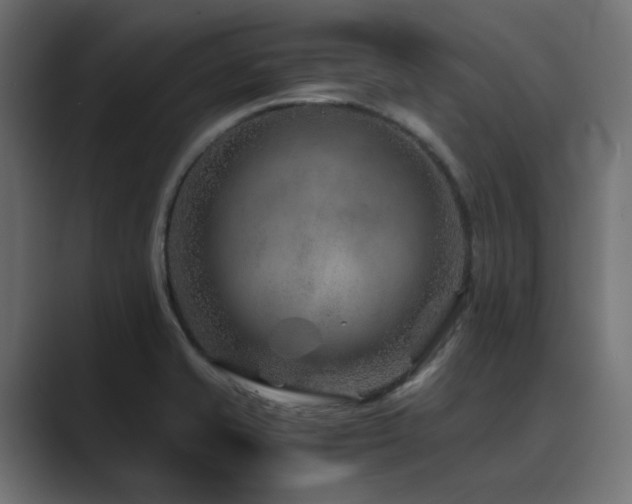 X0000089951421200706291203