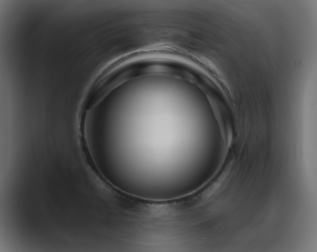 X0000089951422200706291203