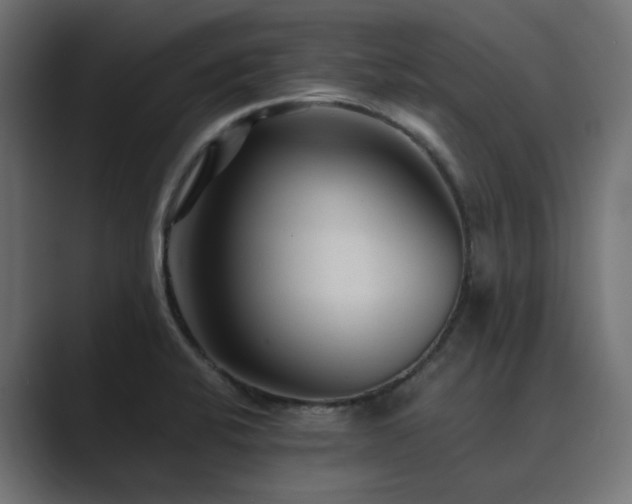 X0000089951424200706291203