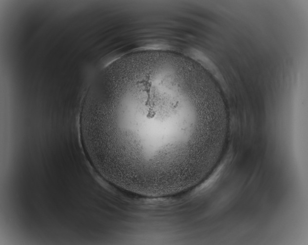X0000089951425200706291203