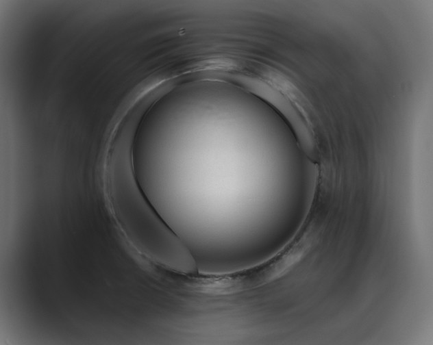 X0000089951426200706291203