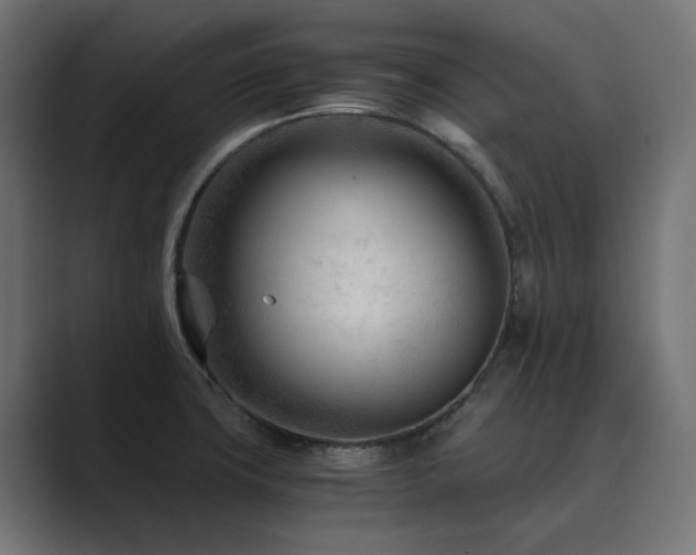 X0000089951427200706291203