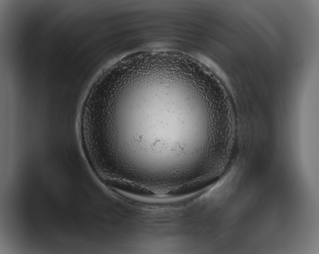 X0000089951429200706291203