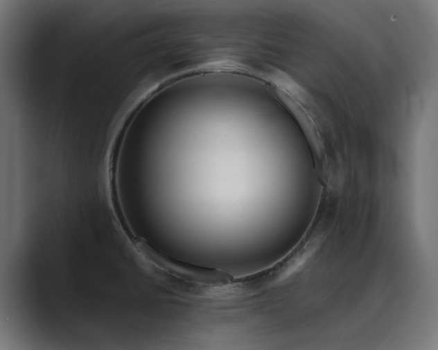 X0000089951430200706291203