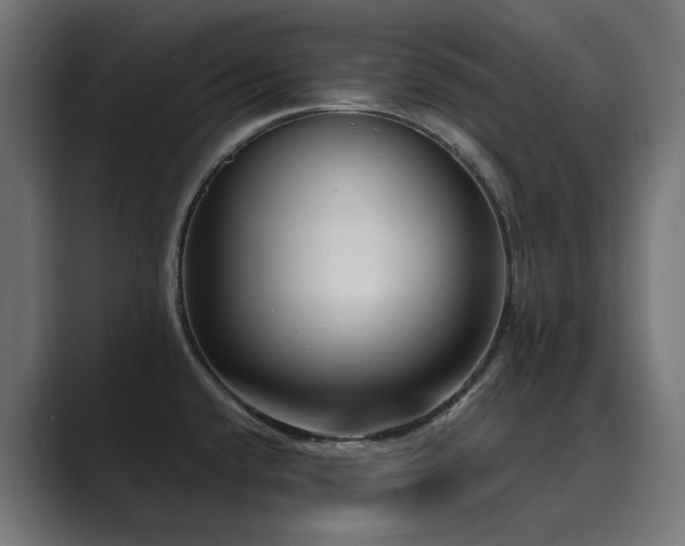 X0000089951432200706291203