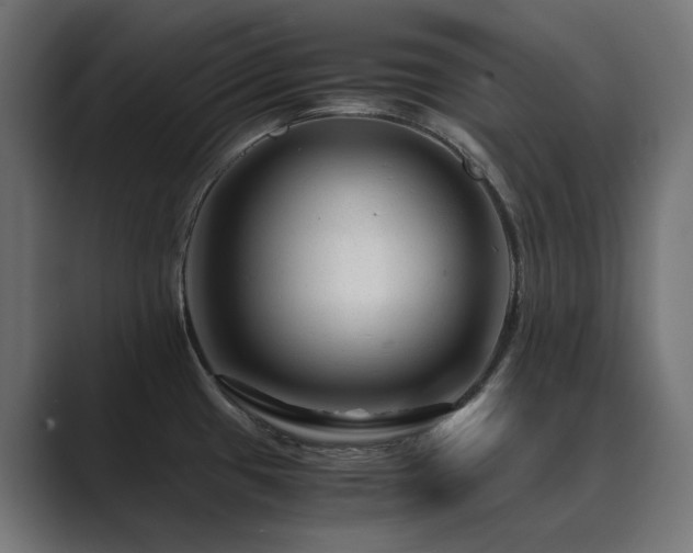 X0000089951433200706291203
