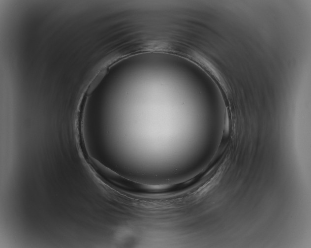 X0000089951434200706291203
