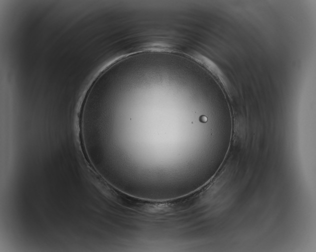 X0000089951435200706291203