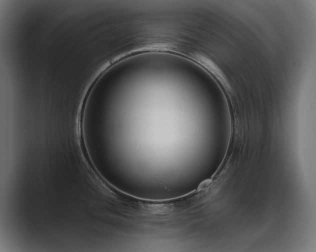 X0000089951436200706291203