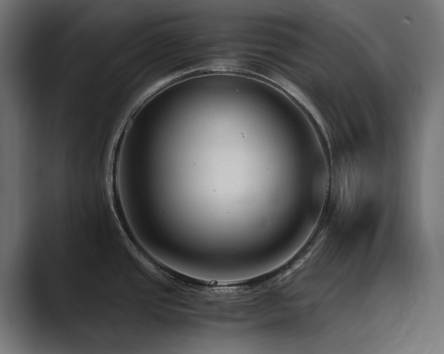X0000089951437200706291203