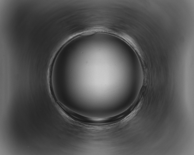 X0000089951438200706291203