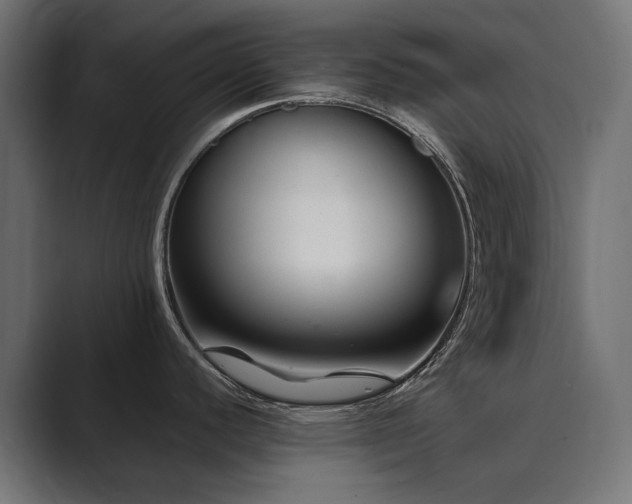 X0000089951440200706291203
