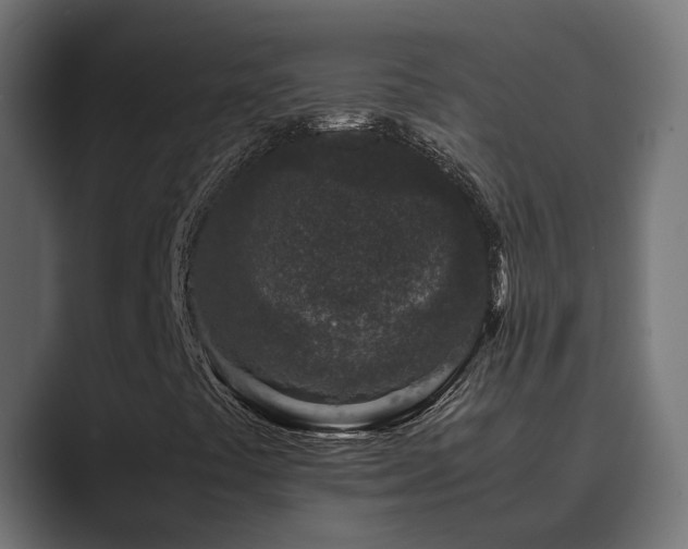 X0000089951441200706291203