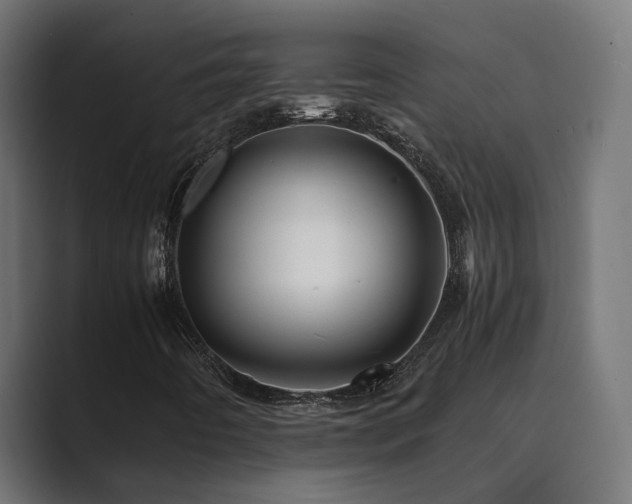 X0000089951442200706291203