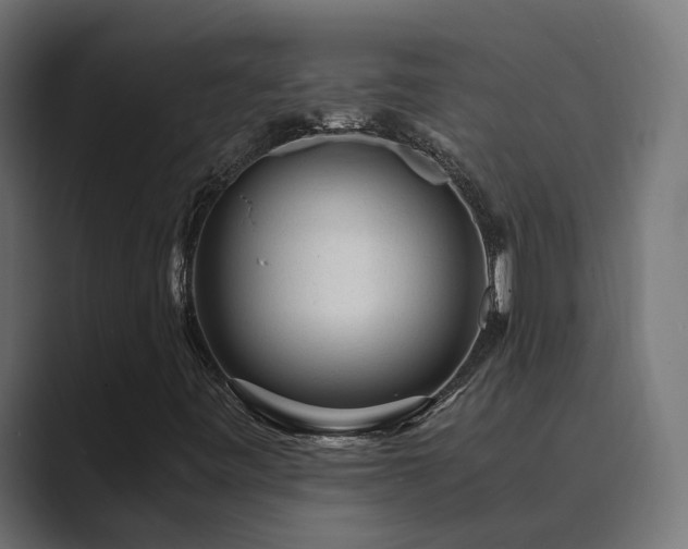 X0000089951443200706291203