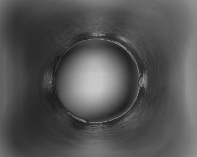 X0000089951444200706291203