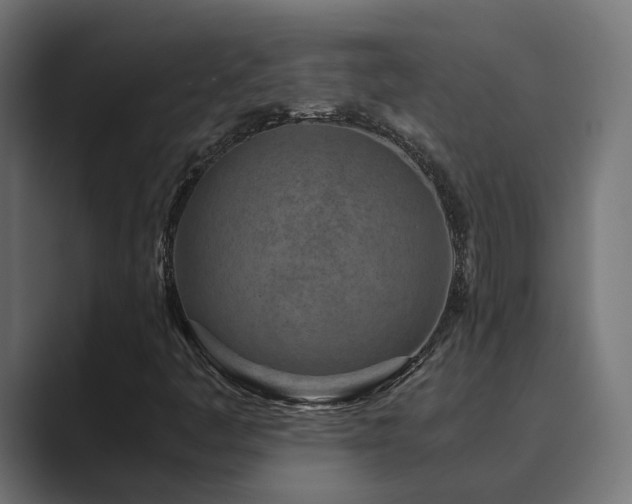X0000089951445200706291203