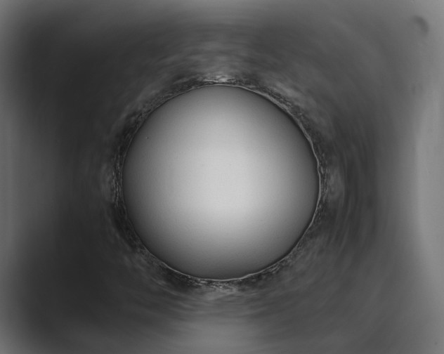 X0000089951446200706291203