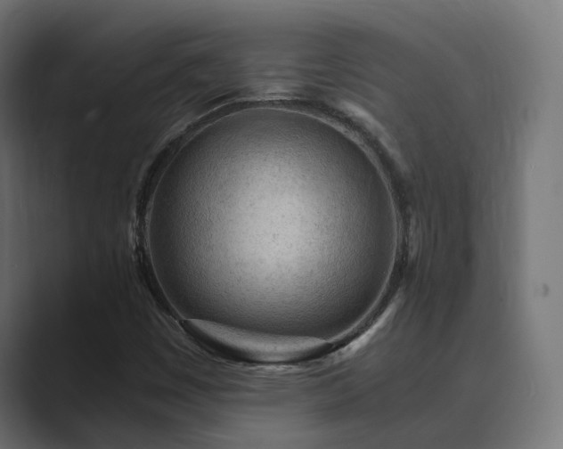 X0000089951449200706291203