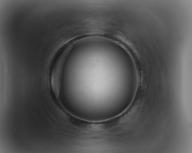 X0000089951453200706291203
