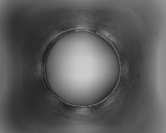 X0000089951454200706291203