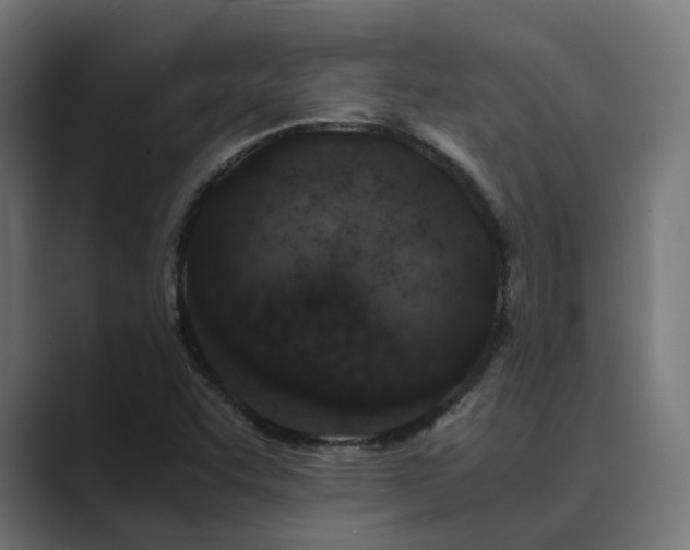 X0000089951455200706291203