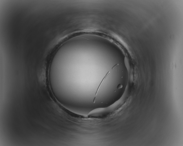 X0000089951456200706291203