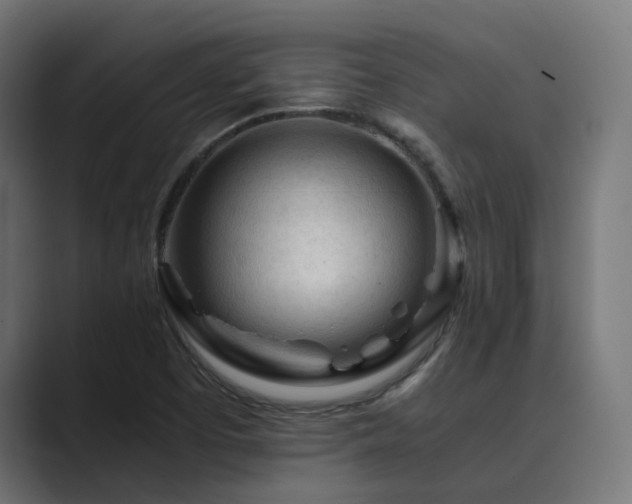 X0000089951457200706291203
