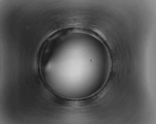 X0000089951458200706291203