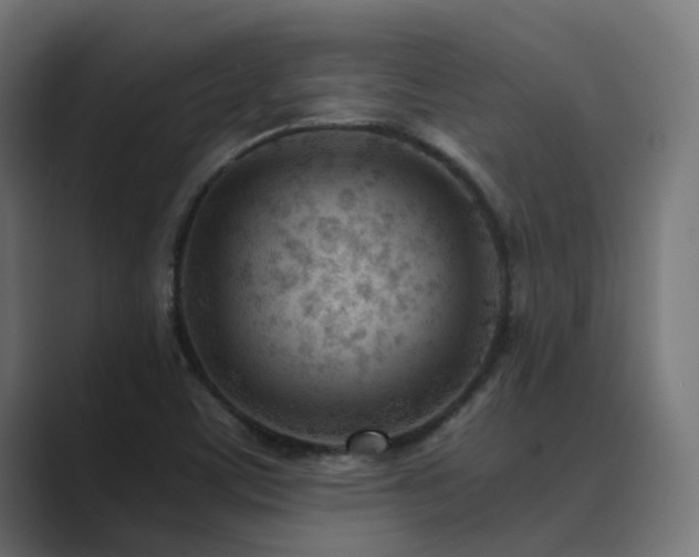 X0000089951459200706291203