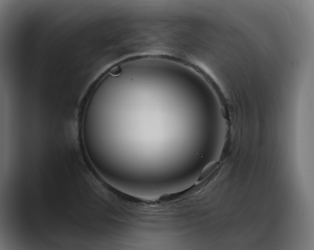 X0000089951460200706291203