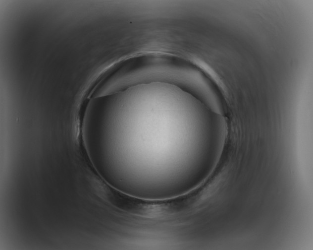 X0000089951461200706291203