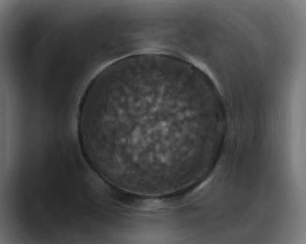 X0000089951463200706291203