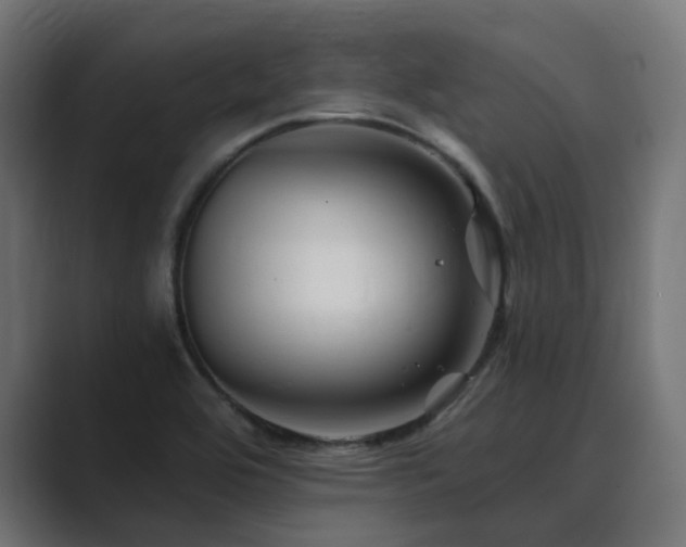 X0000089951464200706291203