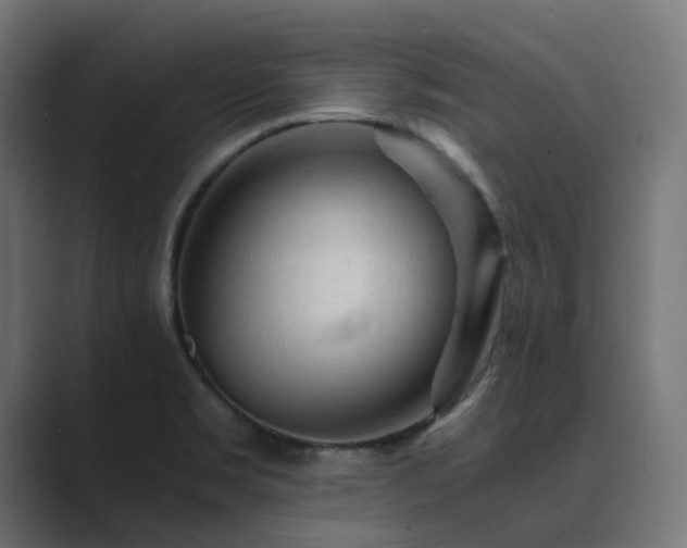 X0000089951469200706291203