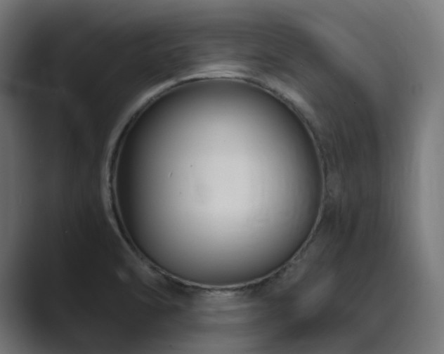 X0000089951470200706291203