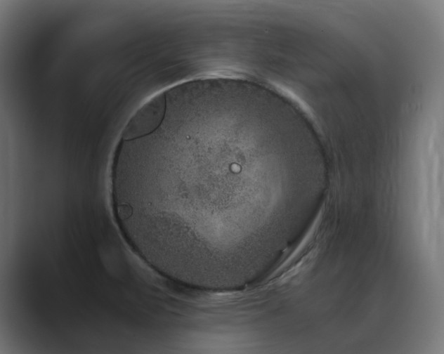 X0000089951471200706291203