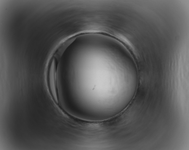 X0000089951472200706291203