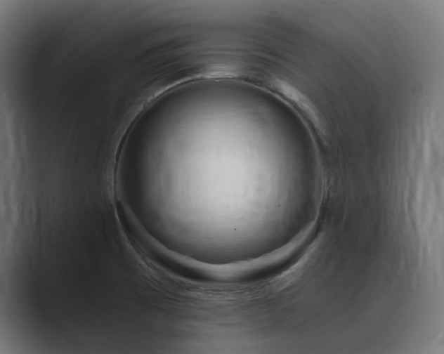 X0000089951473200706291203