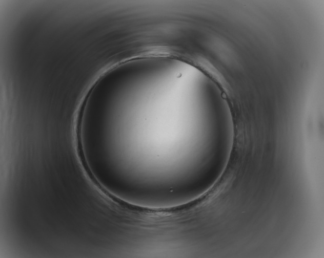 X0000089951475200706291202