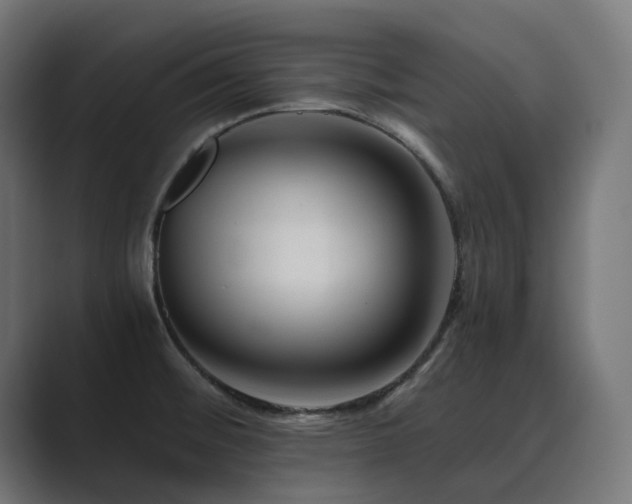 X0000089951476200706291202