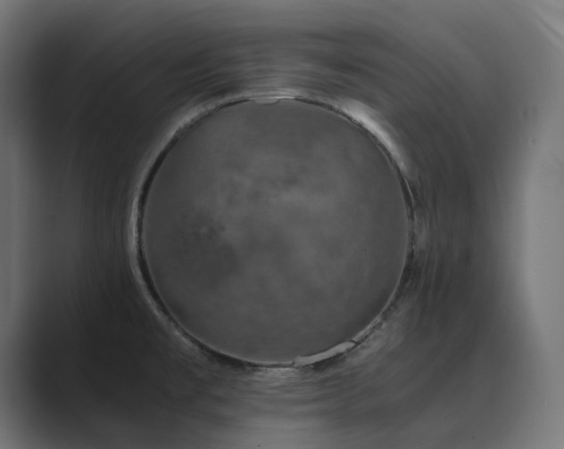 X0000089951477200706291202