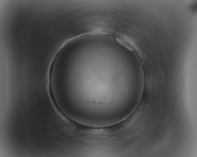 X0000089951479200706291202