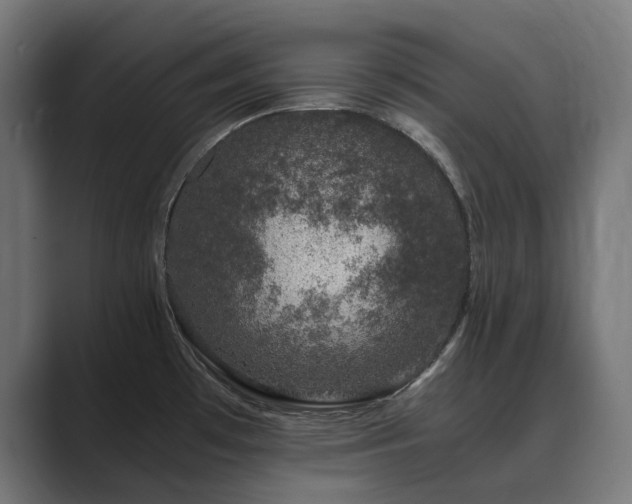 X0000089951481200706291202