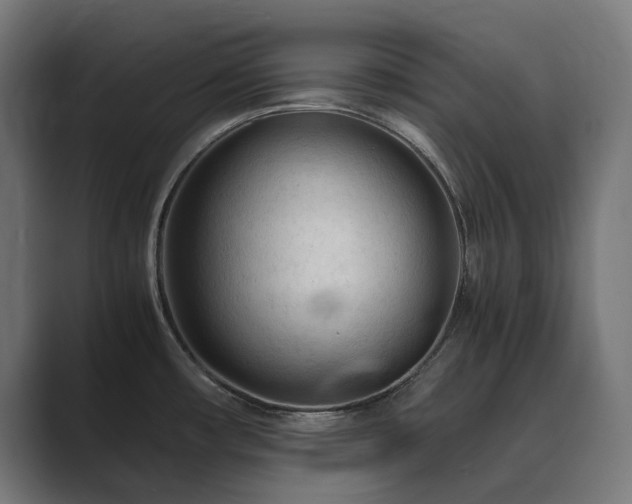 X0000089951482200706291202
