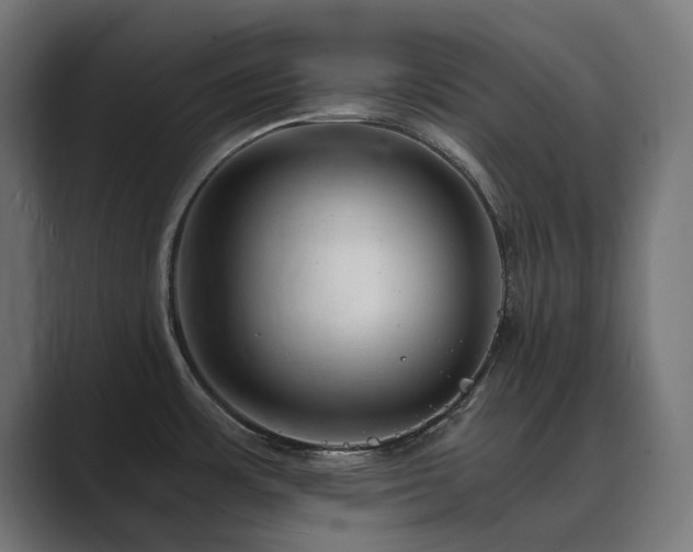 X0000089951483200706291202