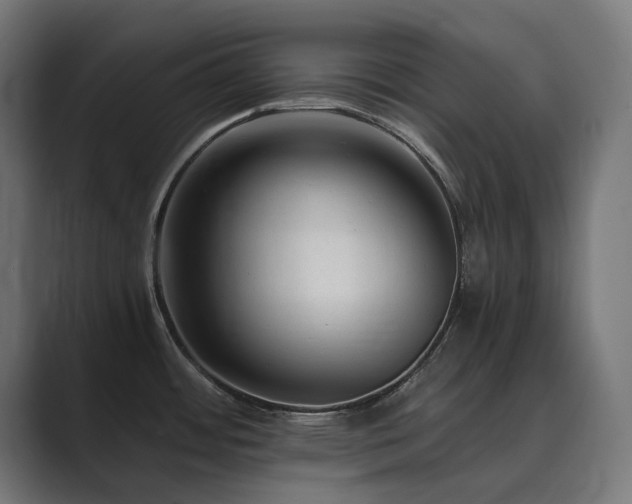 X0000089951484200706291202